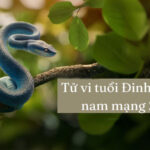 Tử vi tuổi Đinh Tỵ 1977 nam mạng 2025: Xem Vận hạn, Sức khỏe và Tài lộc